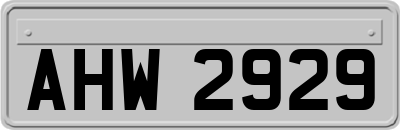 AHW2929