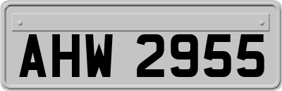 AHW2955
