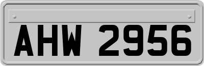 AHW2956