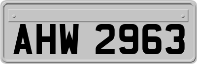 AHW2963