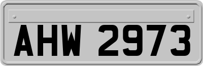 AHW2973