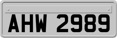 AHW2989