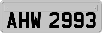 AHW2993