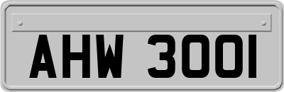 AHW3001