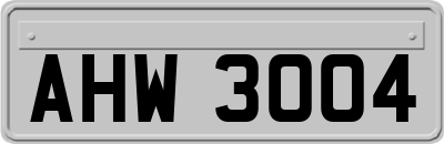 AHW3004