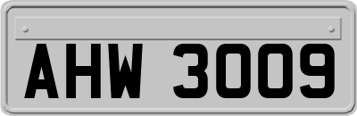 AHW3009
