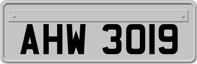 AHW3019