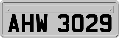 AHW3029