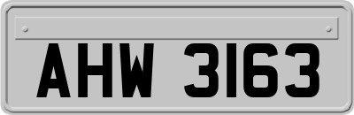 AHW3163