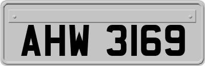 AHW3169