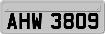 AHW3809