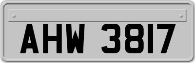 AHW3817