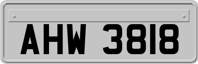 AHW3818