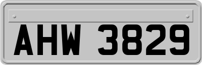 AHW3829