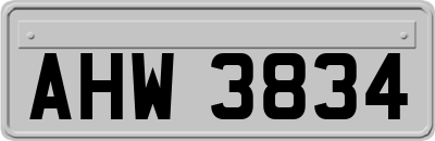 AHW3834