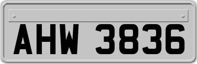 AHW3836