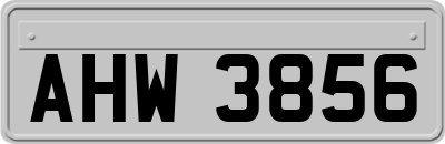 AHW3856