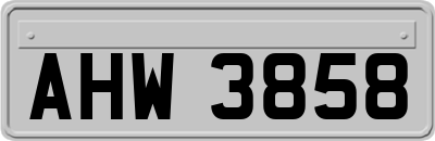 AHW3858