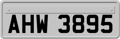 AHW3895