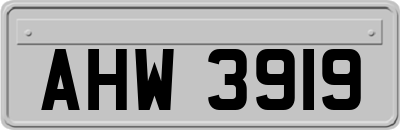 AHW3919