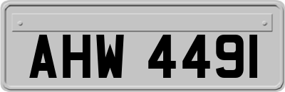 AHW4491