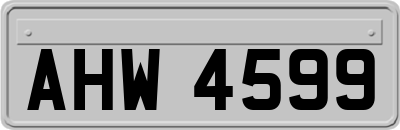 AHW4599