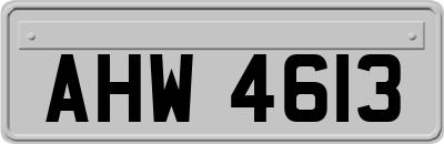 AHW4613
