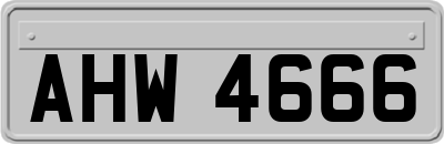 AHW4666
