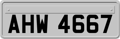 AHW4667