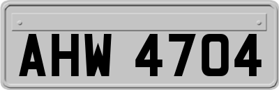 AHW4704