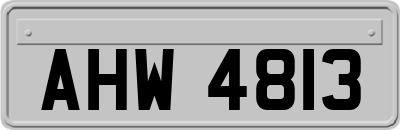 AHW4813