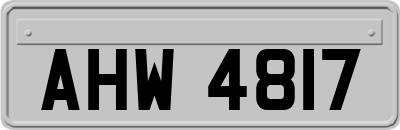 AHW4817