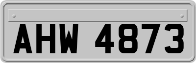 AHW4873