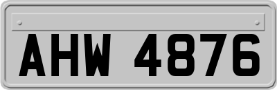 AHW4876