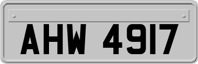 AHW4917