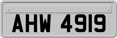AHW4919