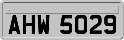 AHW5029