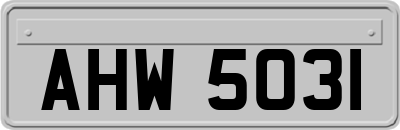 AHW5031
