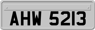 AHW5213