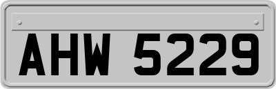 AHW5229