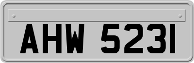 AHW5231