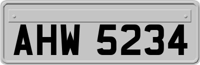 AHW5234