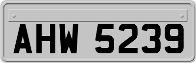 AHW5239