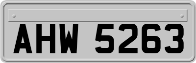 AHW5263