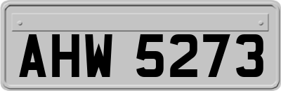 AHW5273