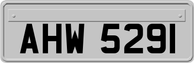 AHW5291