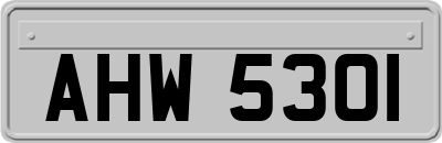 AHW5301