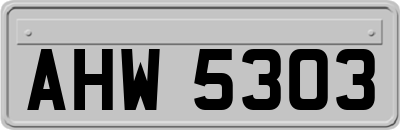 AHW5303