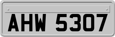 AHW5307
