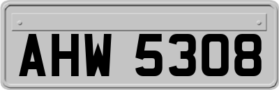 AHW5308